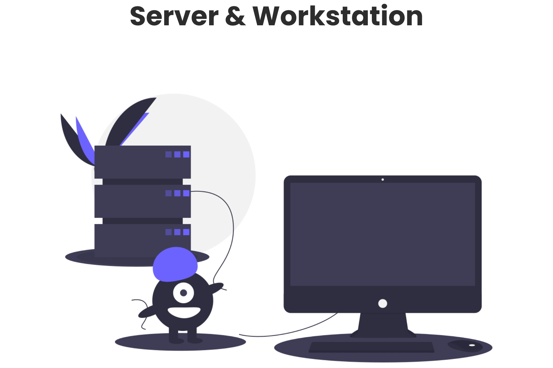 Server and Workstation
